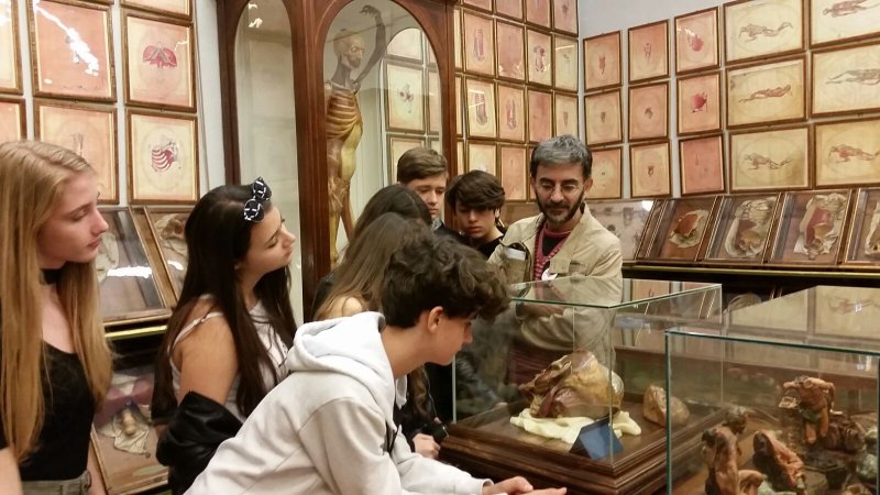 Visita museo della Specola a Firenze