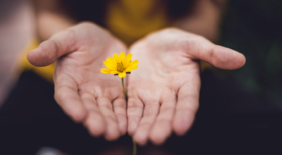 Per fare tutto… ci vuole un fiore!